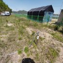 금강농장 이미지