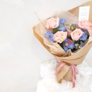 땅트플레르 이미지