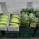 막퍼주는과일야채