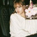 토이N조이 이미지