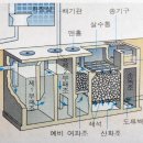 정화조의 구조 이미지