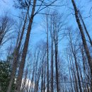 블루웨이(Blue way) 이미지