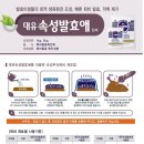 발효애