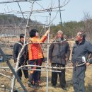 무주농협 친환경 유통사업단