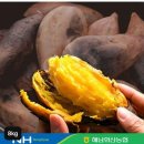 화산농업협동조합