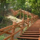 오마도터널 이미지