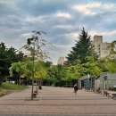 와룡아랫공원 이미지