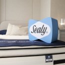 까르텔 | 씰리침대 매트리스 종류 가족 패밀리 침대 대구 수성점 후기