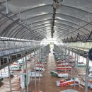 딸기밭 부농 이미지