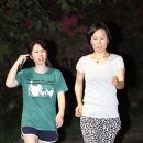 도심공원 이미지