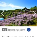 (주)아침여행사 이미지