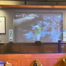 육회한통닭 이미지