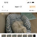 강남대로97길 32 이미지