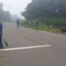 세화1리 이미지