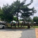 월출향가 이미지