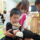 작은 동물원 이미지