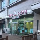 이모란 동물병원 네이버블로그