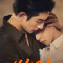 선각당 | 헤븐리 독점 BL 드라마 추천 <쌍정> 5~12 최종화 리뷰 후기 줄거리 결말
