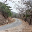 아라메길 (삼길나루길-벚꽃길) 이미지