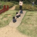유현목장 네이버블로그