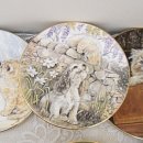 도그 앤 캣츠 이미지