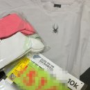 강변목욕탕 | 2025 양양강변전국마라톤대회! 내 생애 첫 우중런 10k 후기