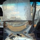 동아산소 | 대구 서구 동아수족관 방문후기