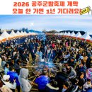 금강대중탕 | 2026 공주군밤축제 개막 (시간, 주차, 명당, 애견동반 꿀팁 후기) 오늘 안 가면 1년 기다려요!