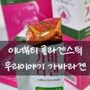 이너뷰티 콜라겐스틱 유산균발효콜라겐 가바라겐