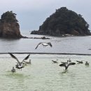 할미 할아비바위 이미지