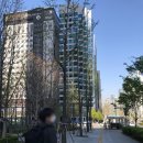 신라복지회 | [서울 강남구/역삼] 신라스테이 역삼 스탠다드 더블+조식 뷔페 리얼 후기