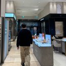 ㈜제일수퍼체인 | 출산 전 마지막 주얼리💎 위시템 투어 (불가리, 반클리프, 티파니앤코, 프레드, 다미아니)