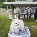 공공용 21 이미지