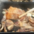 장양어촌마을 펜션 | 보성 벌교 장양어촌체험마을 캠핑장 후기