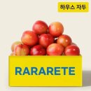 자두 쇼핑하우