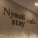 냥스테이 이미지