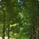 별과달민박 이미지