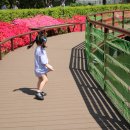 야외광장 작은 음악회 <마술에 빠지다> | 세종 베어트리파크 소식, 즐길거리, 후기