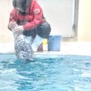 해달기획 이미지