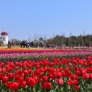 신안문구 이미지