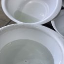 갈마주유소 | 대전 에바크리닝 갈마동 깔끄밍S크린케어에서 에어컨 히터 냄새제거 하고왔어요!