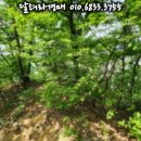 (주)대륙식품 이미지