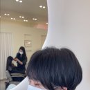 준호헤어라인 이미지