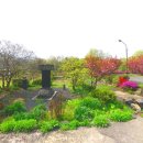 보령-웅천-150 이미지