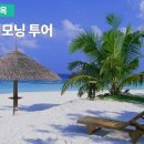 모닝투어(MORNING TOUR)