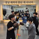 파파복스 복싱클럽 이미지
