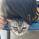 파미컴퍼니 이미지