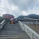 영월동로 | 고씨굴(고씨 동굴) 방문 후기 | 영월 가볼만한 곳 (25.08.16)