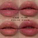 신기방적 노동조합 | 내돈내산 엔트로피 베이스 블러리 틴트 1·2·3·5호 발색 비교 조합 추천