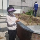 필봉노인정 네이버블로그